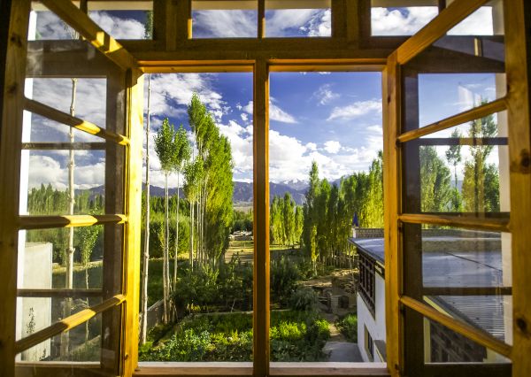 Cost of Wood Window Replacement in Chippewa Falls